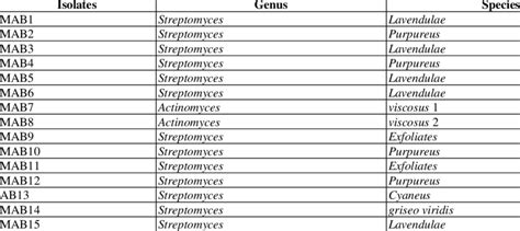 Identification of the Actinomycetes Isolates. | Download Scientific Diagram