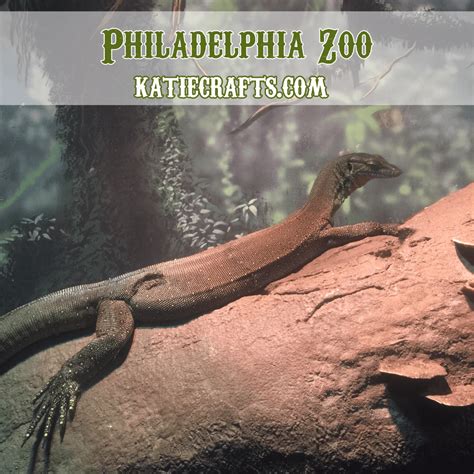 Philadelphia Zoo! • Katie Crafts