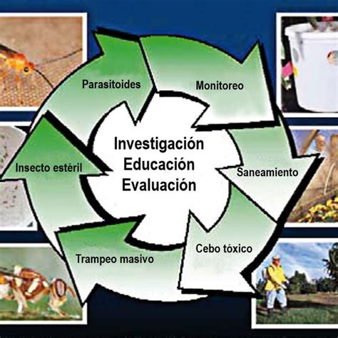 Componentes Del Programa De Manejo Integrado De Las Moscas De La Fruta