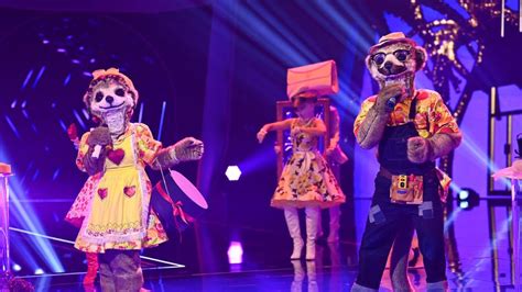 Enthüllt Sie Steckte Unter Dem The Masked Singer Alpaka