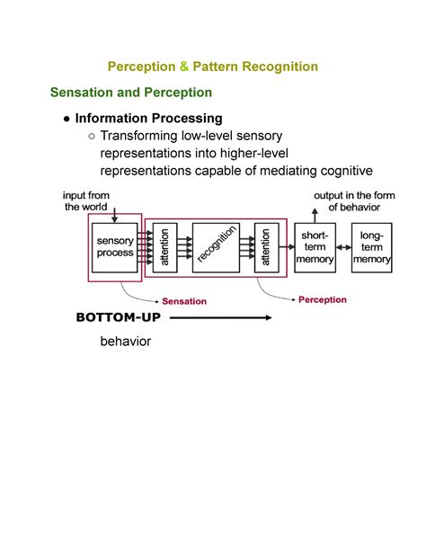 Psy 260 Lecture 6 Notes Perception Pattern Recognition Sensation