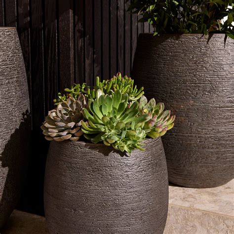 Curved Ficonstone Indooroutdoor Planters West Elm Australia