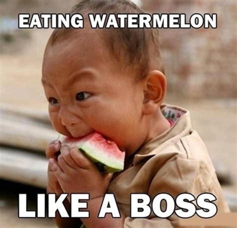 Funny Baby Pictures Memes And Quotes