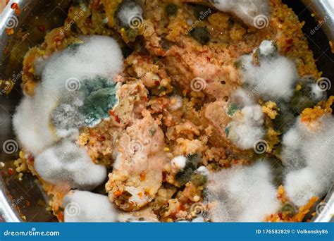 Disgusting Mold Of White And Green Covers Rotten Food Stock Image