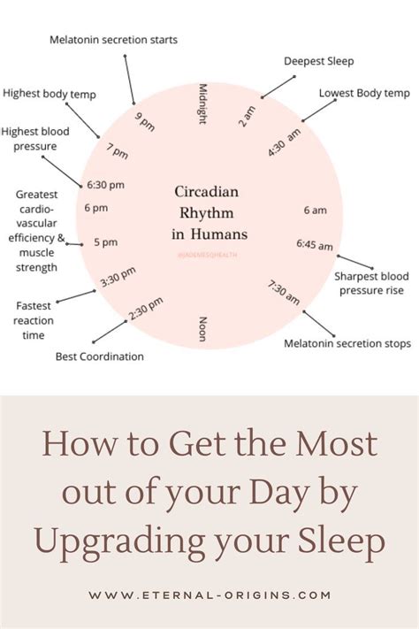 Tips for Optimizing Your Circadian Rhythm