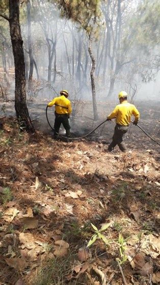 La Jornada Hay 61 Incendios Forestales Activos En México Conafor