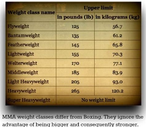 Does Heavyweight Have a Weight Limit - Elizabeth-has-Oconnell