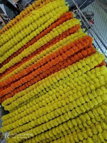 Yellow Genda Flower Ladi At 85 Packet In Ajmer ID 25702546773