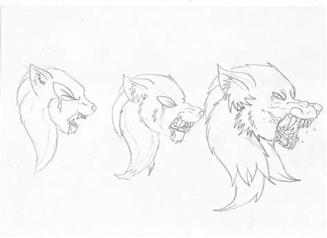 Werewolf Sonic Transformation Head By Segafan15 On Deviantart