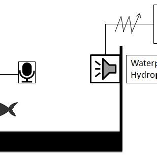 Schematic diagram of thunderstorm-sound transmission and hydrophone ...