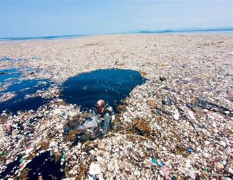 Gigantescas Islas De Plástico Intoxican Los Océanos Y Ponen En Riesgo