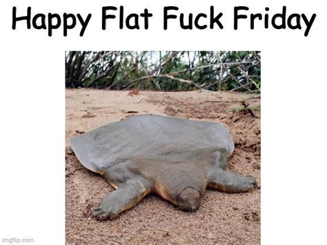 Happy Flat Fuck Friday R Memes