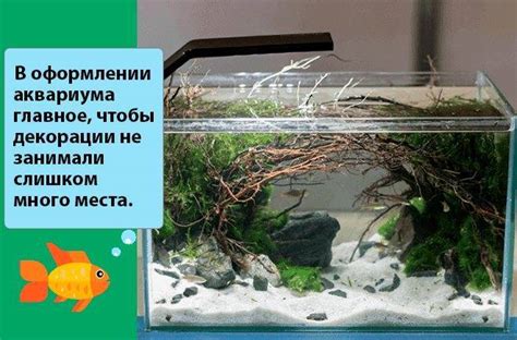 Самый маленький аквариум!