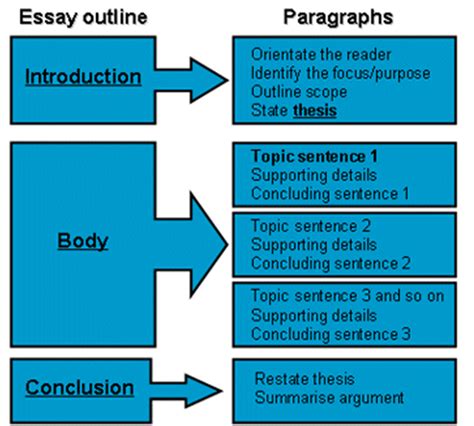 Essay body paragraph help | Norex International