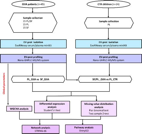 Figure 1 From Proteomic Profiling Of Extracellular Vesicles In Synovial