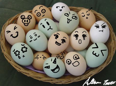 Egg Faces By Marine Sista1990 On Deviantart