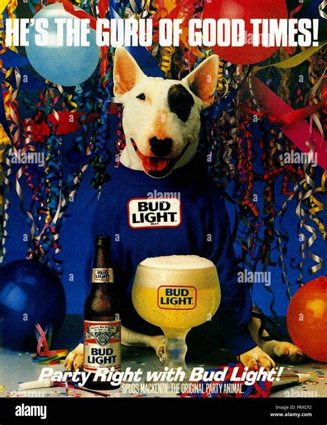 Spuds Mackenzie 1980s Nostalgia