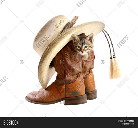 Kitten Playing Cowboy Image Photo Free Trial Bigstock