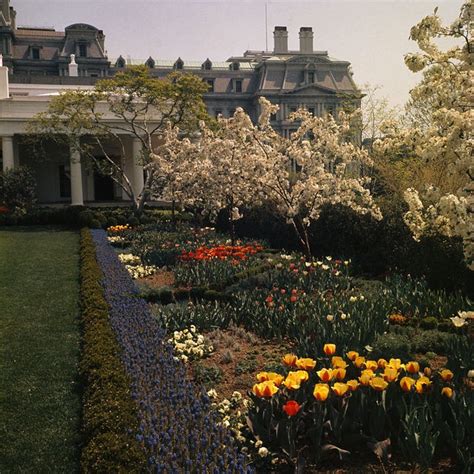 History of the White House Rose Garden - The Rose Garden's Design