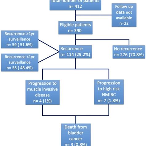 Guideline Recommendation For Low Risk Non Muscle Invasive Bladder