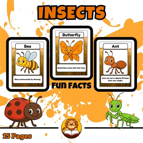 insect fun facts cards bug science vocabulary reading posters