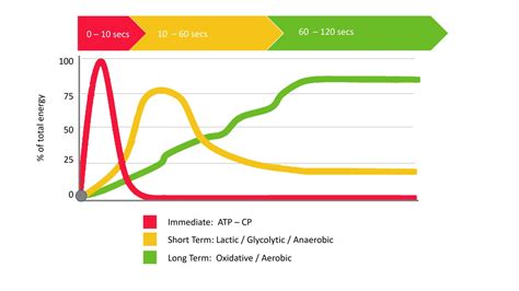 Sprinting: Aerobic or Anaerobic Energy Systems? - Azide Performance