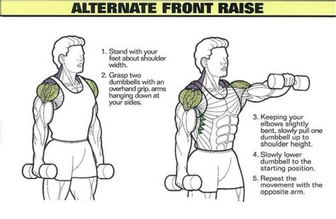 Best Shoulder Exercises 8 Alternate Front Raise Yeah We Workout Workouts Exercises And More