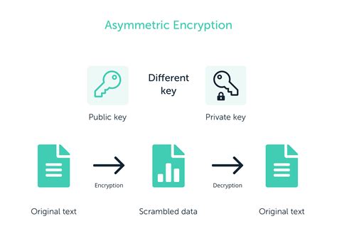 What Are Public Keys And Private Keys Ledger