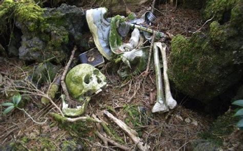 Inside Aokigahara The Haunting Suicide Forest Of Japan