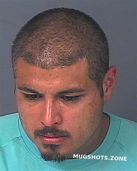 Saucedo Luis Andres Hernando County Mugshots Zone