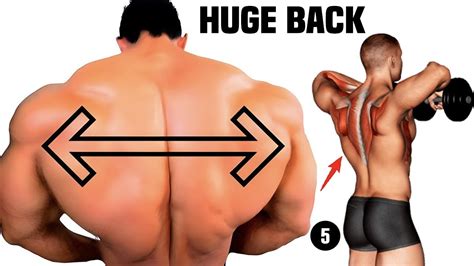 Huge Back Exercises Fastest Youtube