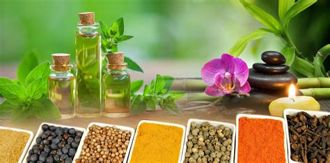 Top 10 Ayurvedic Medicine Manufacturer In Uttarakhand