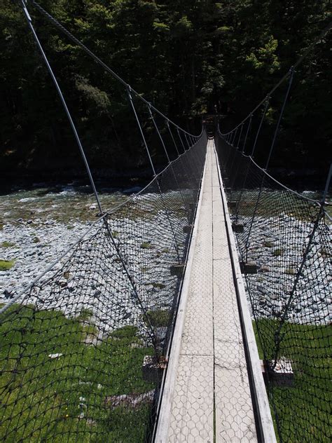 Wobbly Bridge To The Start Of Lake Sylvan Track New Zealan Kate