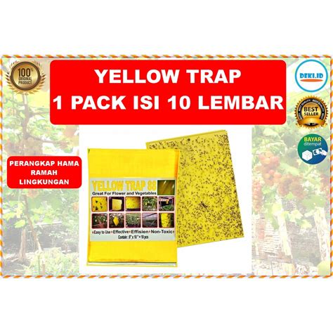 Jual Yellow Trap Perangkap Hama Lem Perekat Lalat Buah Likat Kuning