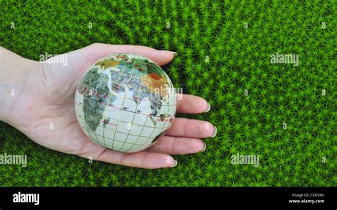 Globe Terrestre Sur La Paume De La Main Banque De Photographies Et D