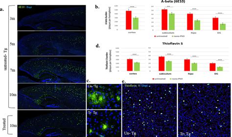 Amyloid Plaque Burden Is Decreased In Brains Of Nano Pso Treated Xfad