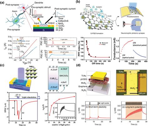 A Optically Stimulated Synaptic Transistor Based On Mos Qds Md