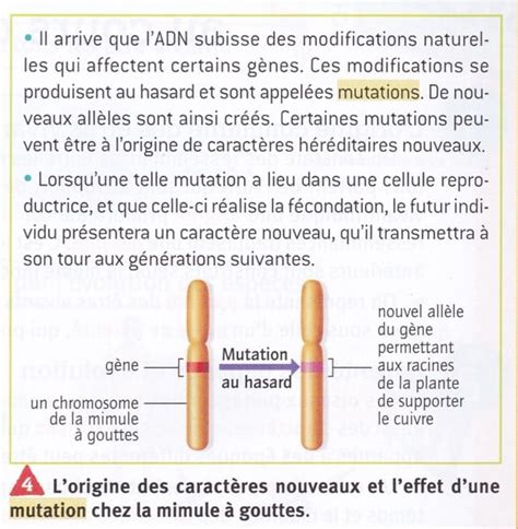 Svt Eme Chap L Volution Des Esp Ces Au Cours Du Temps Science Foi