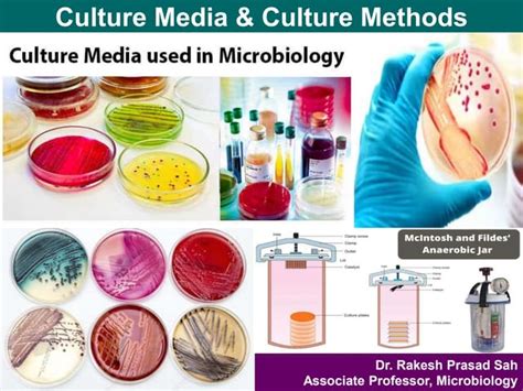 Culture Media And Methods Ppt