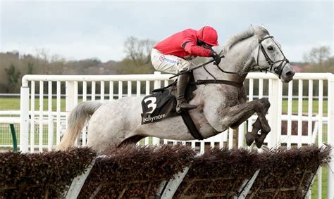 Grey Dawning looks smart in Haydock | irishracing.com