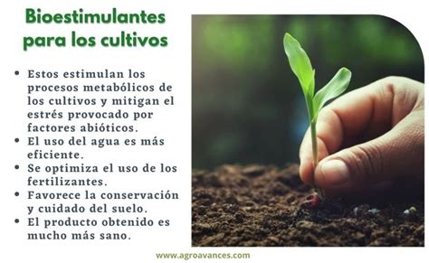 Agroavances Noticias