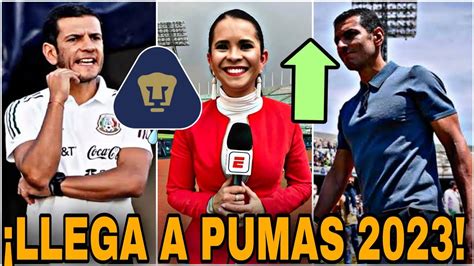 Oficial🔥jimmy Lozano Nuevo Dt De Pumas LlegarÍa A Reforzar A Pumas Refuerzos Pumas 2022