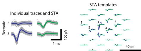 Neuronal Signal Analysis And Modeling Bio Engineering Laboratory Eth