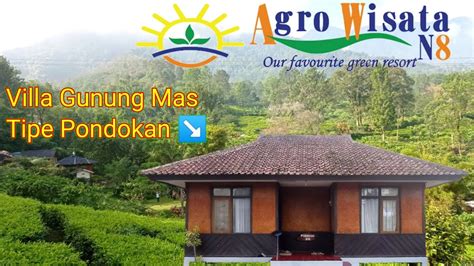 Agrowisata Gunung Mas Puncak Bogor Villa Pondokan Nuansa Kebun Teh