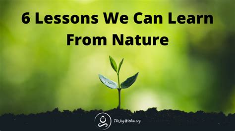 6 Lessons We Can Learn From Nature - The Joy Within