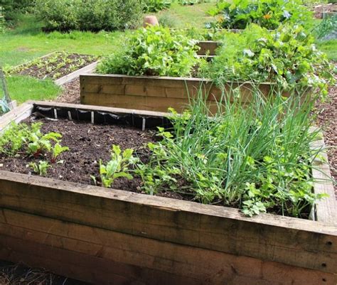 Teaching Gardens and Junior Master Gardeners - ALSC Blog