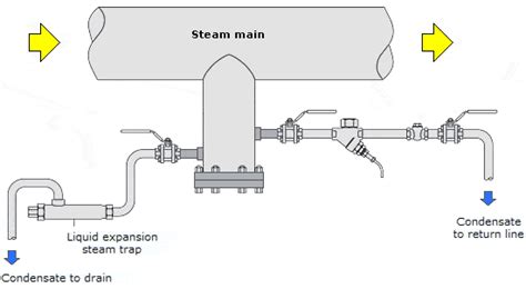 Thermostatic Steam Trap Manufacturer