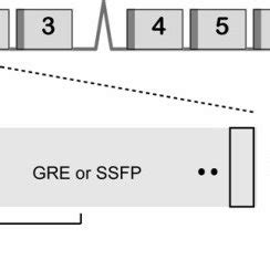 Typical First Pass Perfusion Pulse Sequence A Acquisitions Are