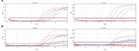 Amplification Plots Of The Quantitative Real Time Pcr Qpcr For Equine