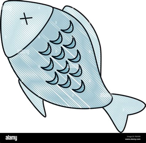 Fish Meat Clipart